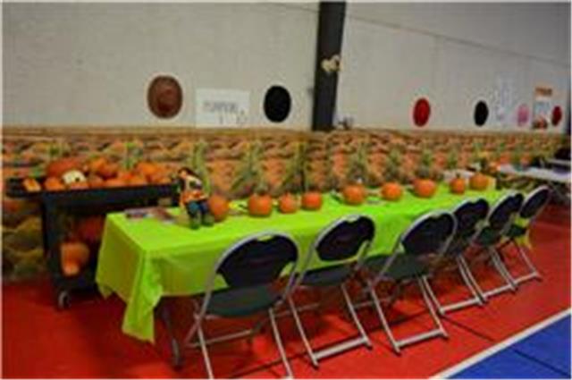 Pumpkin decorating stand at the Fall Festival event