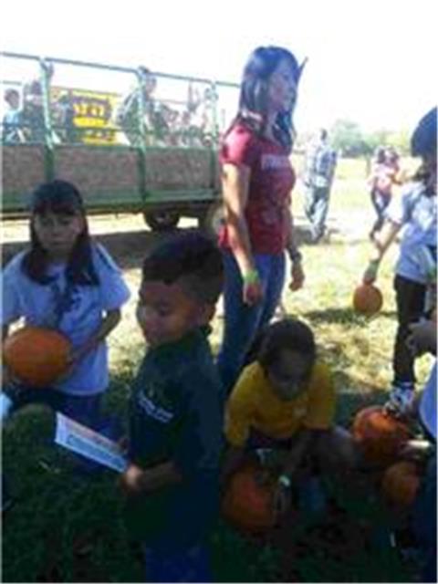 Children picking out their pumpkins